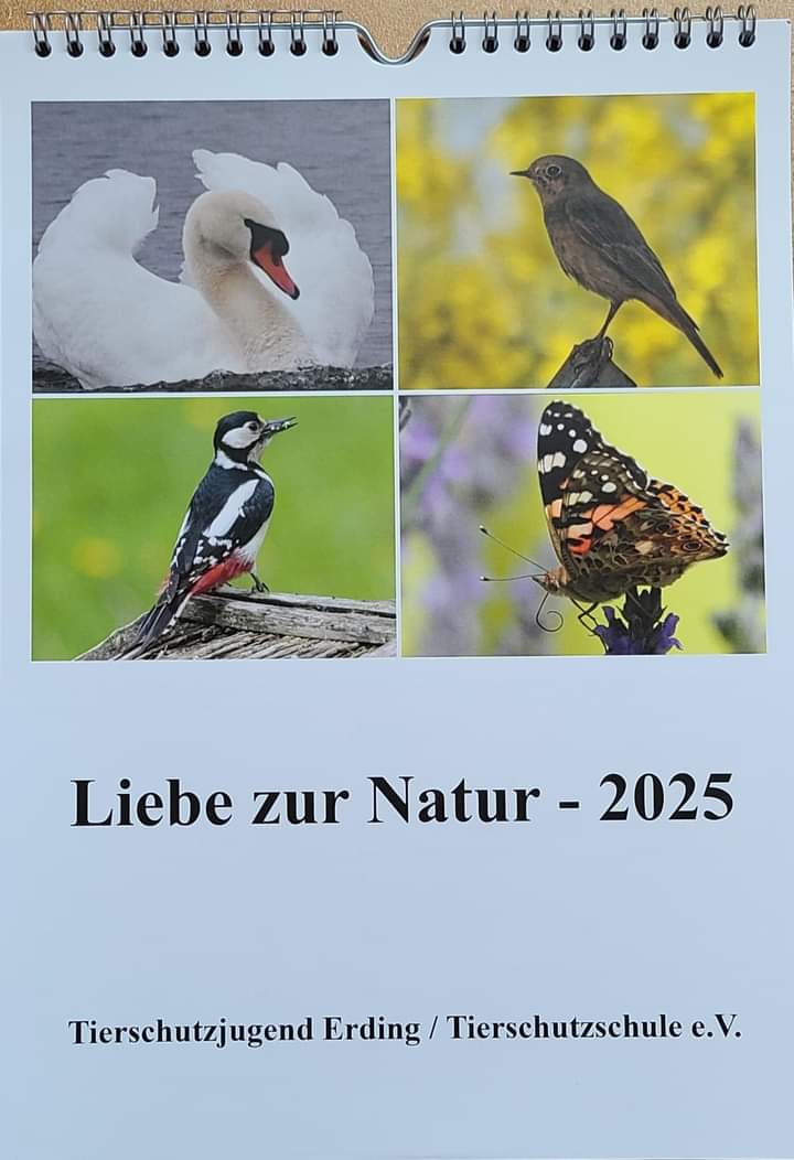 Kalender Vorderseite