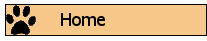 btn_home